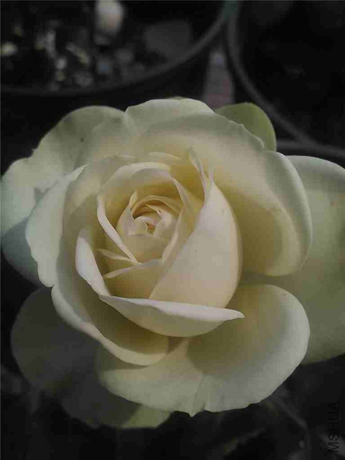 IMG_20150525_145904_����.jpg