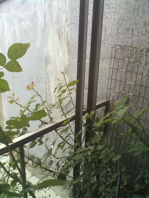 d1b6d954564e925812b8b2749982d158cdbf4e35.jpg