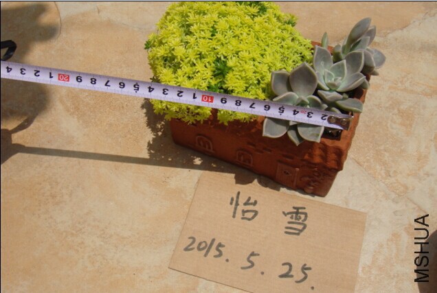 125303ul9lpi0j31pzbil5.jpg