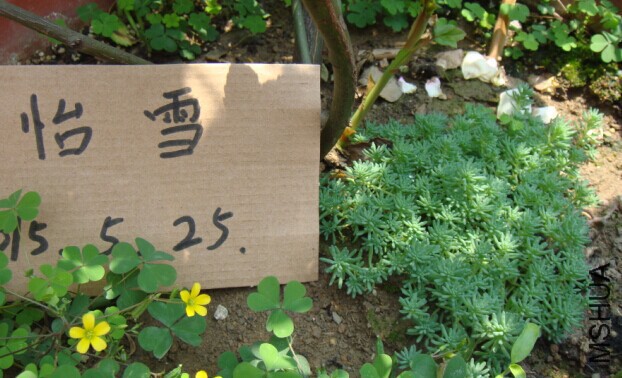 125307kvrzzcaa8m56area.jpg
