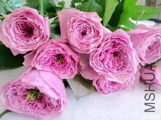 t0161413708c710eef2.jpg