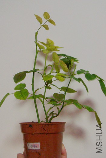 DSC06673.JPG