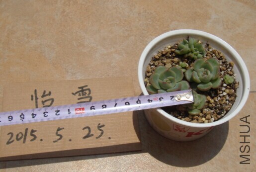 QQͼƬ20150601205243.jpg