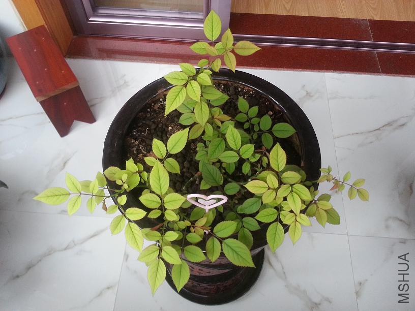 20150602_075540.jpg