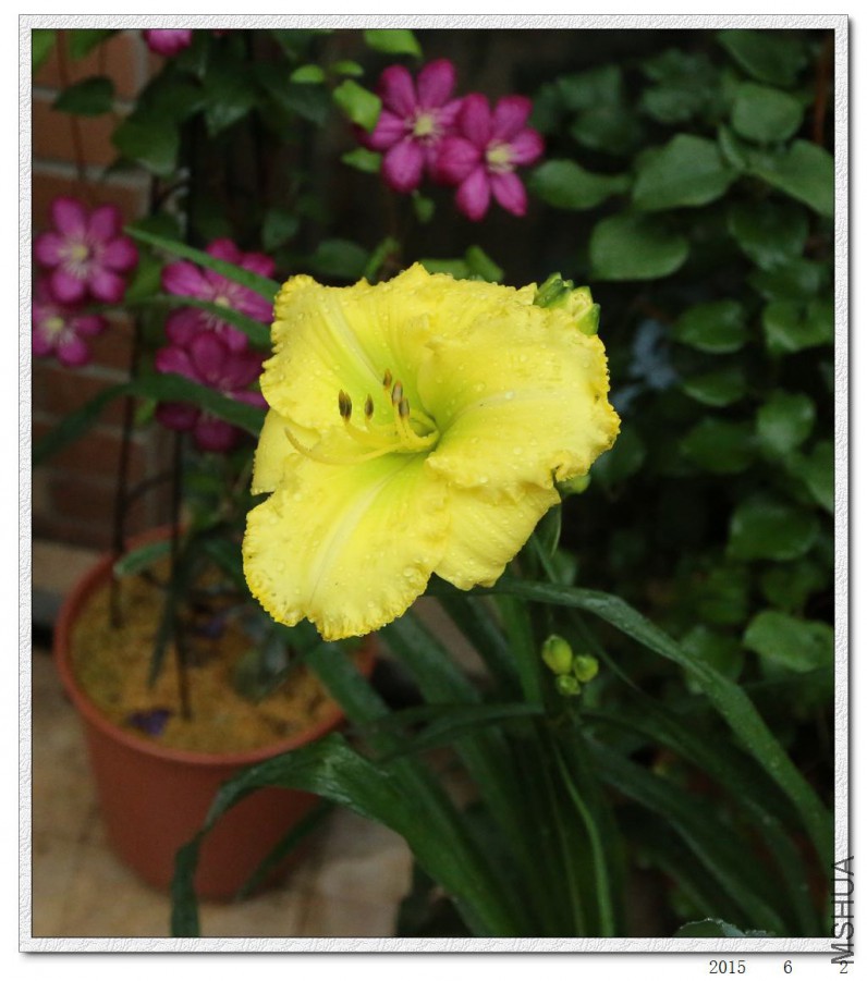 2015060202.jpg