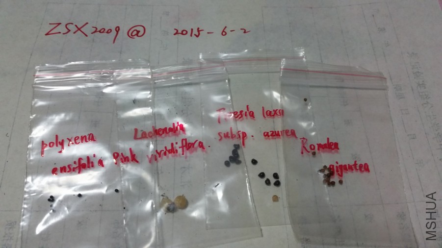 20150531_004832.jpg