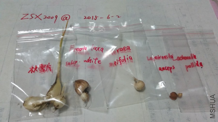 20150531_004849.jpg