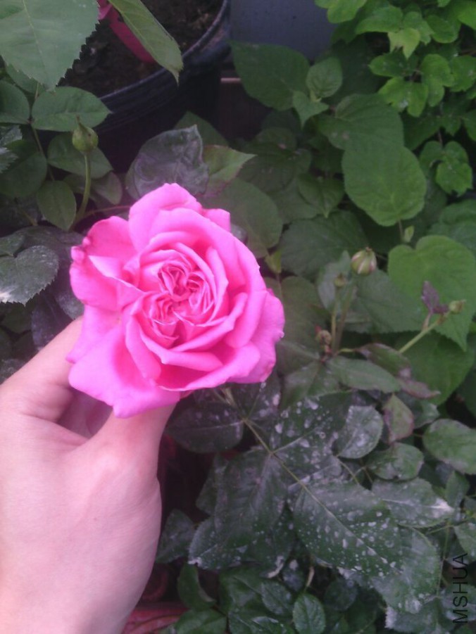 QQͼƬ20150418134142.jpg