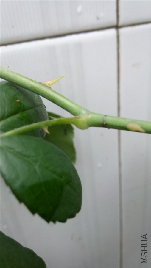 20140625143551.jpg