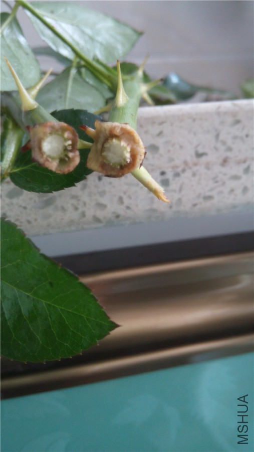 20140702090244.jpg