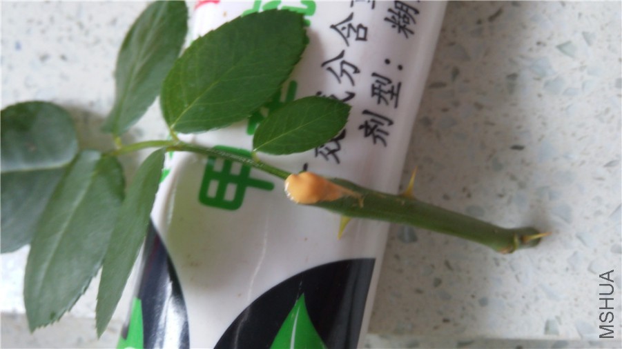 20140810181609.jpg
