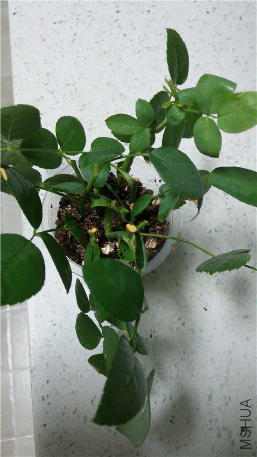 20140810221137.jpg