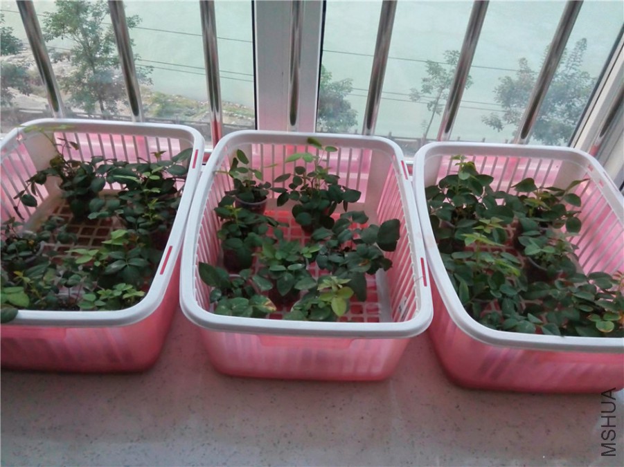 20140910181110.jpg