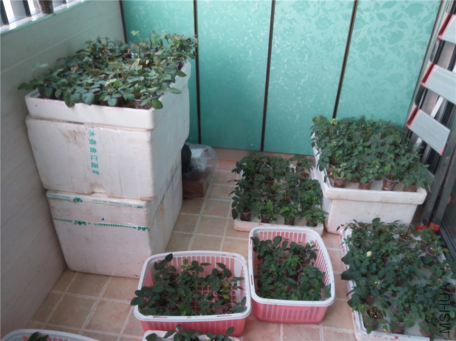20140910180339.jpg