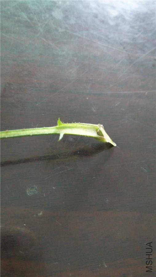 20140606122448.jpg