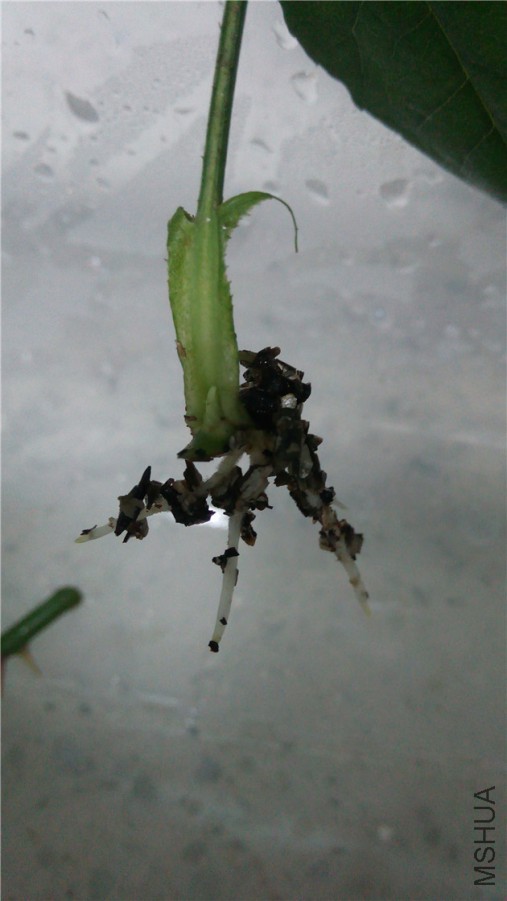 20140622230017.jpg