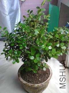 20150527_142502.jpg
