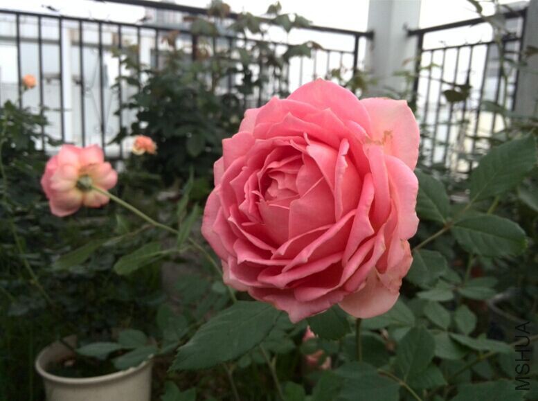 QQͼƬ20150604105952.jpg