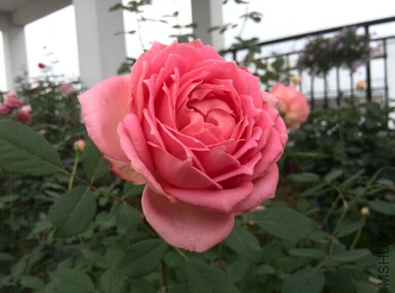 QQͼƬ20150604110012.jpg