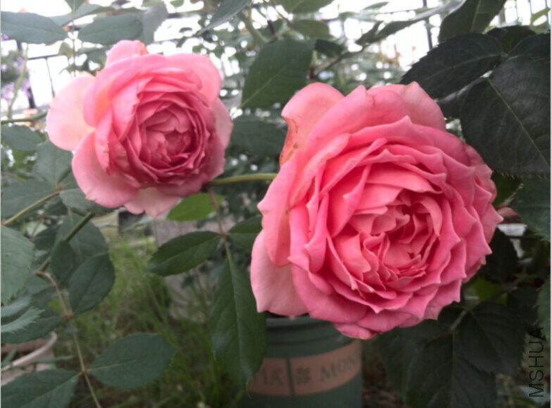QQͼƬ20150604110103.jpg