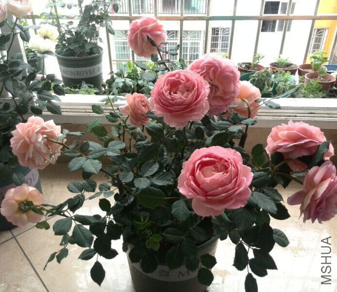 QQͼƬ20150604110707.jpg