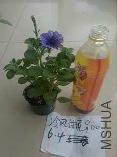 UC_Photo_118.jpg