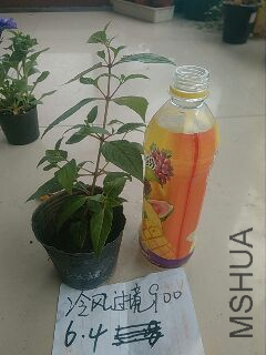 UC_Photo_120.jpg