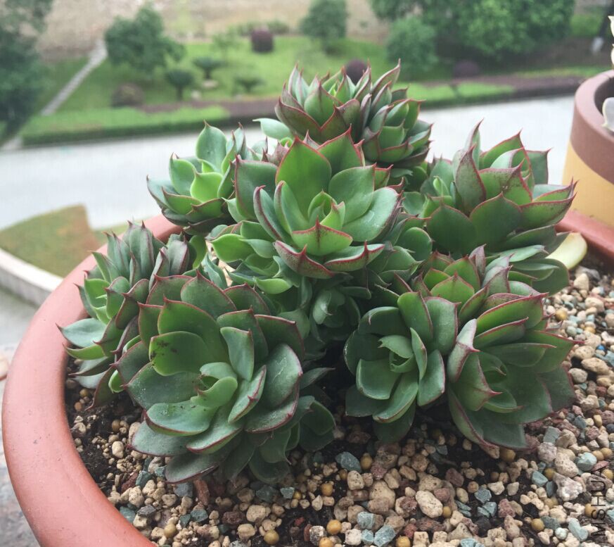 QQͼƬ20150604160304.jpg