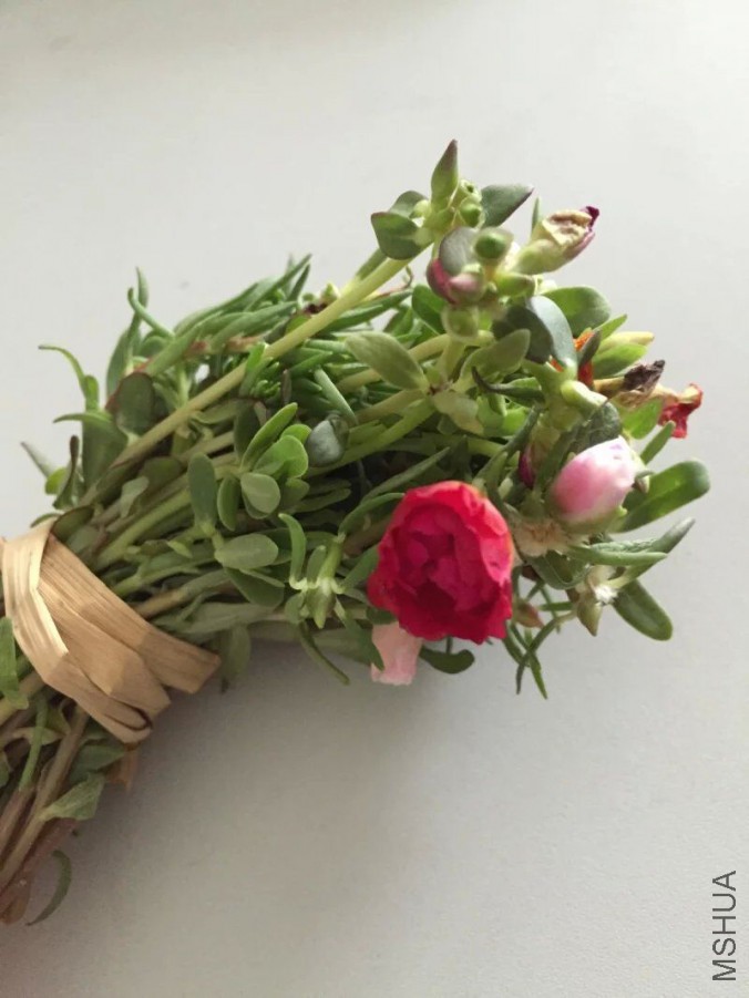 ���ո�20150604150054.jpg