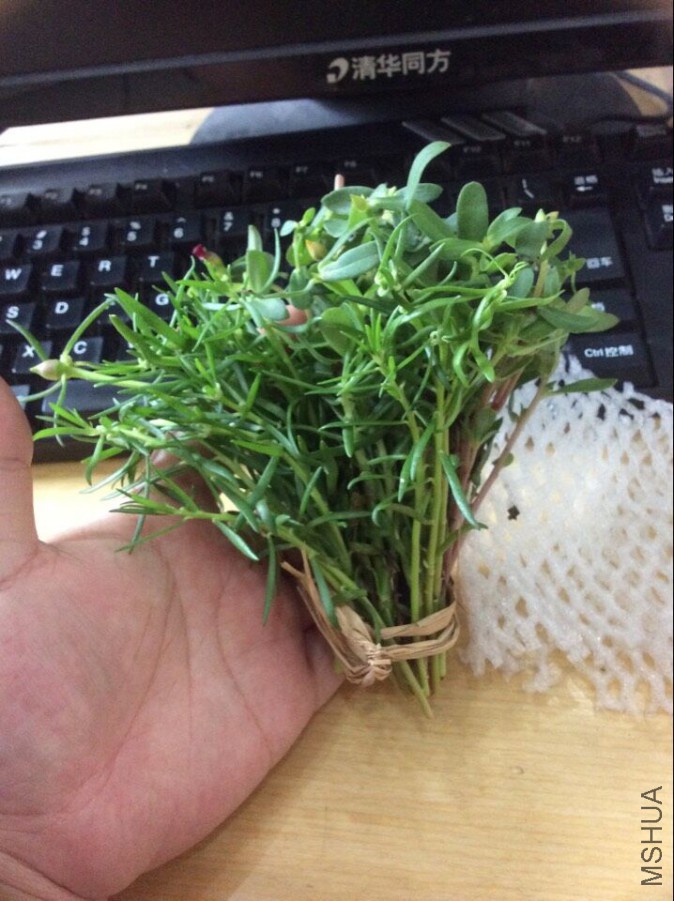 ������20150604170502.jpg