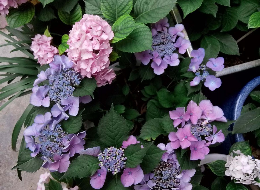��Ƭ_20150604_104023.jpg