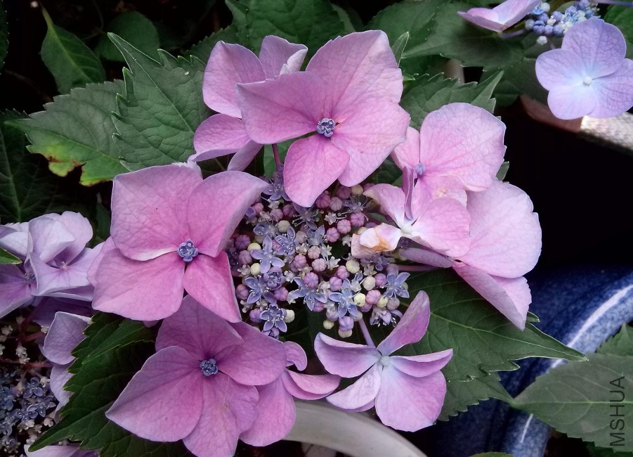 ��Ƭ_20150604_104034.jpg