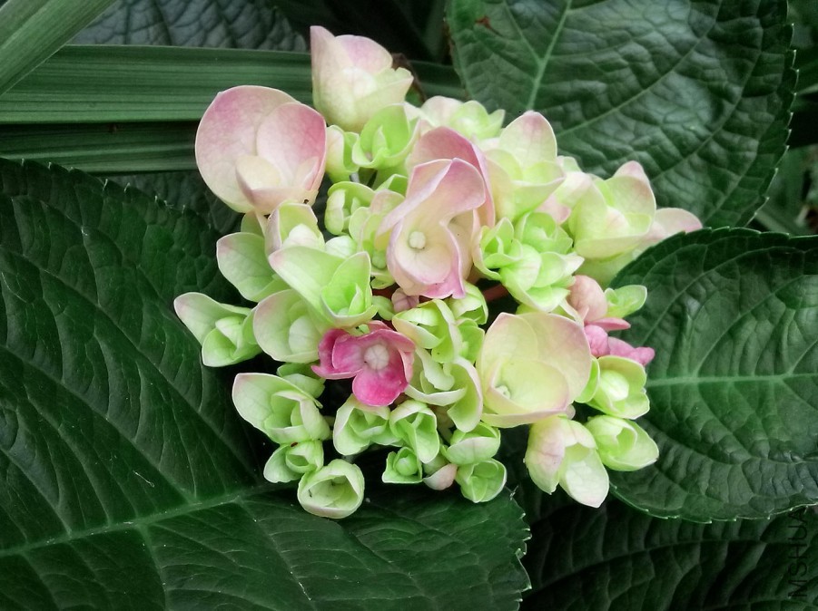 ��Ƭ_20150604_105357.jpg