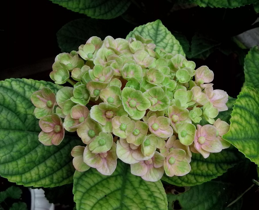 ��Ƭ_20150604_104403.jpg