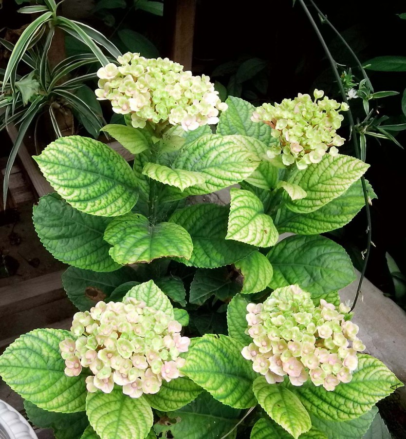 ��Ƭ_20150604_104414.jpg