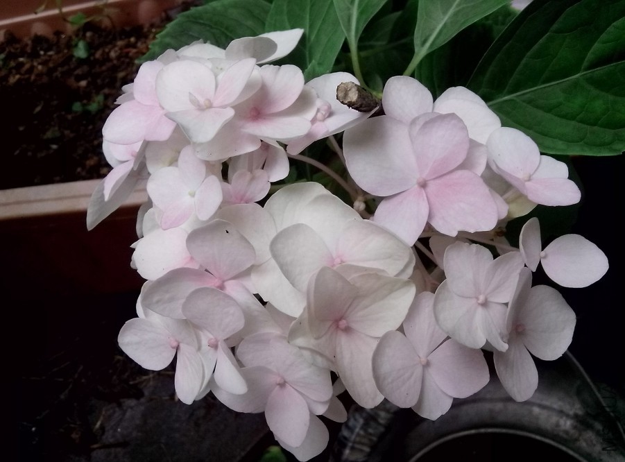 ��Ƭ_20150604_105041.jpg