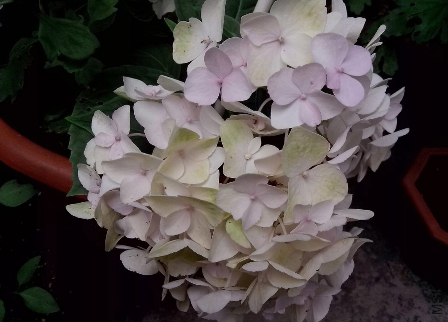 ��Ƭ_20150604_103935.jpg