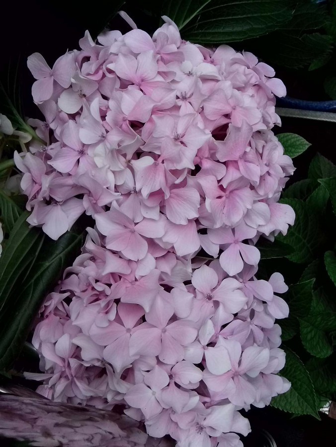 ��Ƭ_20150604_103840.jpg