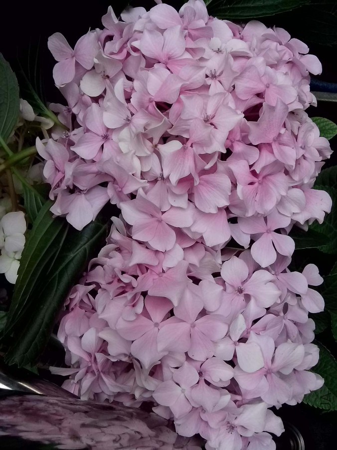 ��Ƭ_20150604_103835.jpg