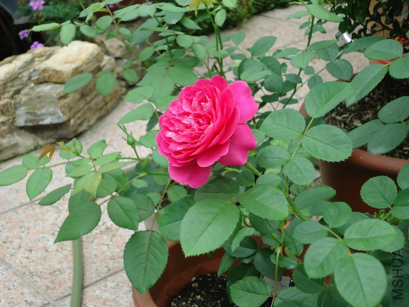 ���ݹ���.jpg