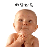 1.gif