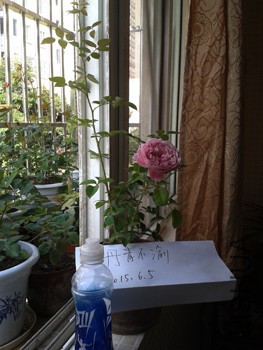 20150605_073840.jpg