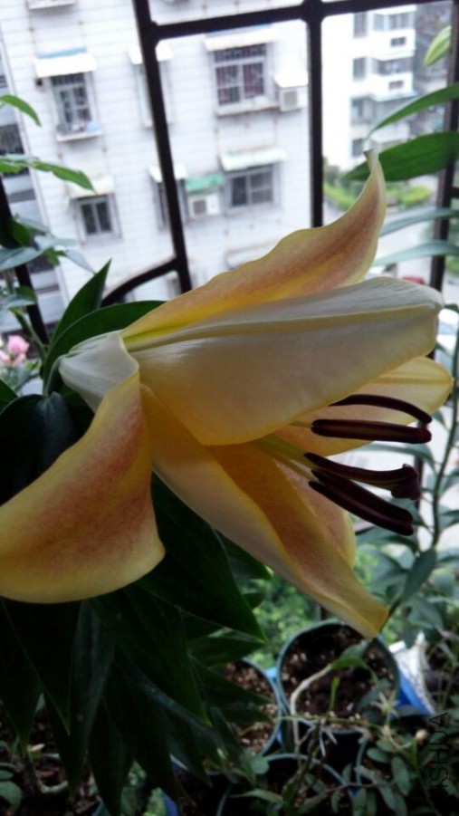 QQͼƬ20150605113145.jpg