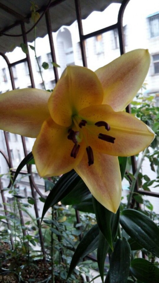 QQͼƬ20150605112835.jpg