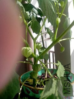 UC_Photo_014.jpg