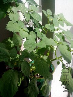 UC_Photo_016.jpg