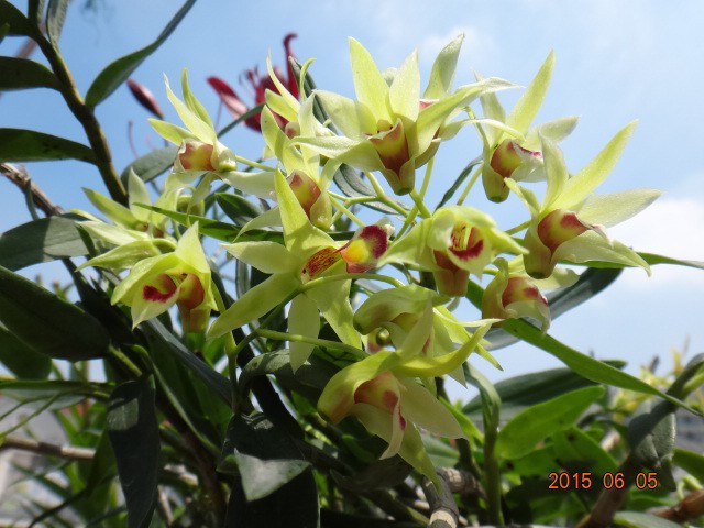 DSC07384.JPG