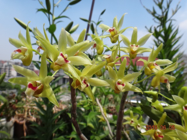 DSC07371.JPG