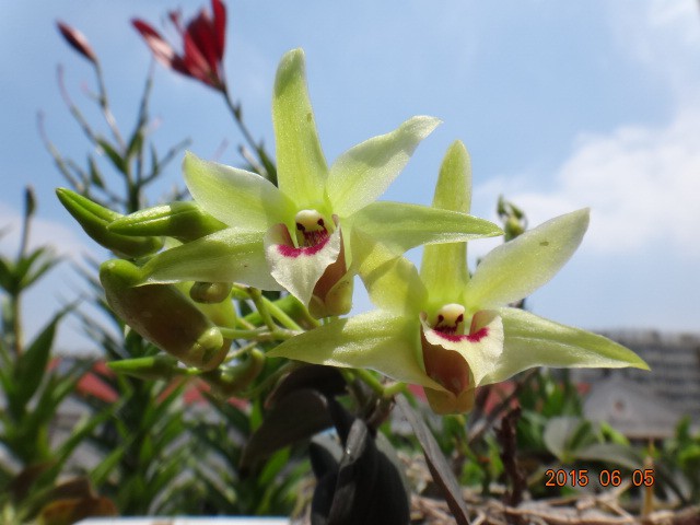 DSC07378.JPG