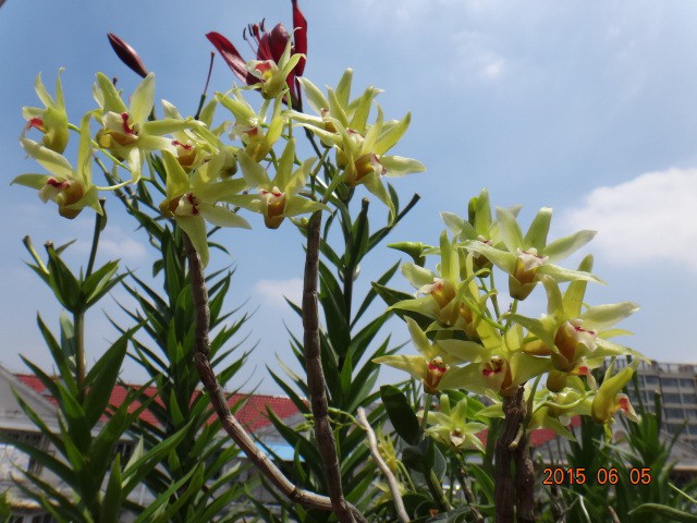 DSC07386.JPG